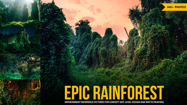 440+ Epic Rainforest Reference Pictures