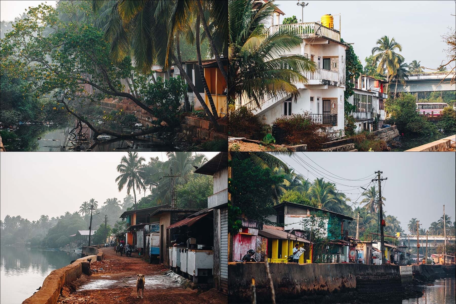 700+ Panaji Reference Pictures