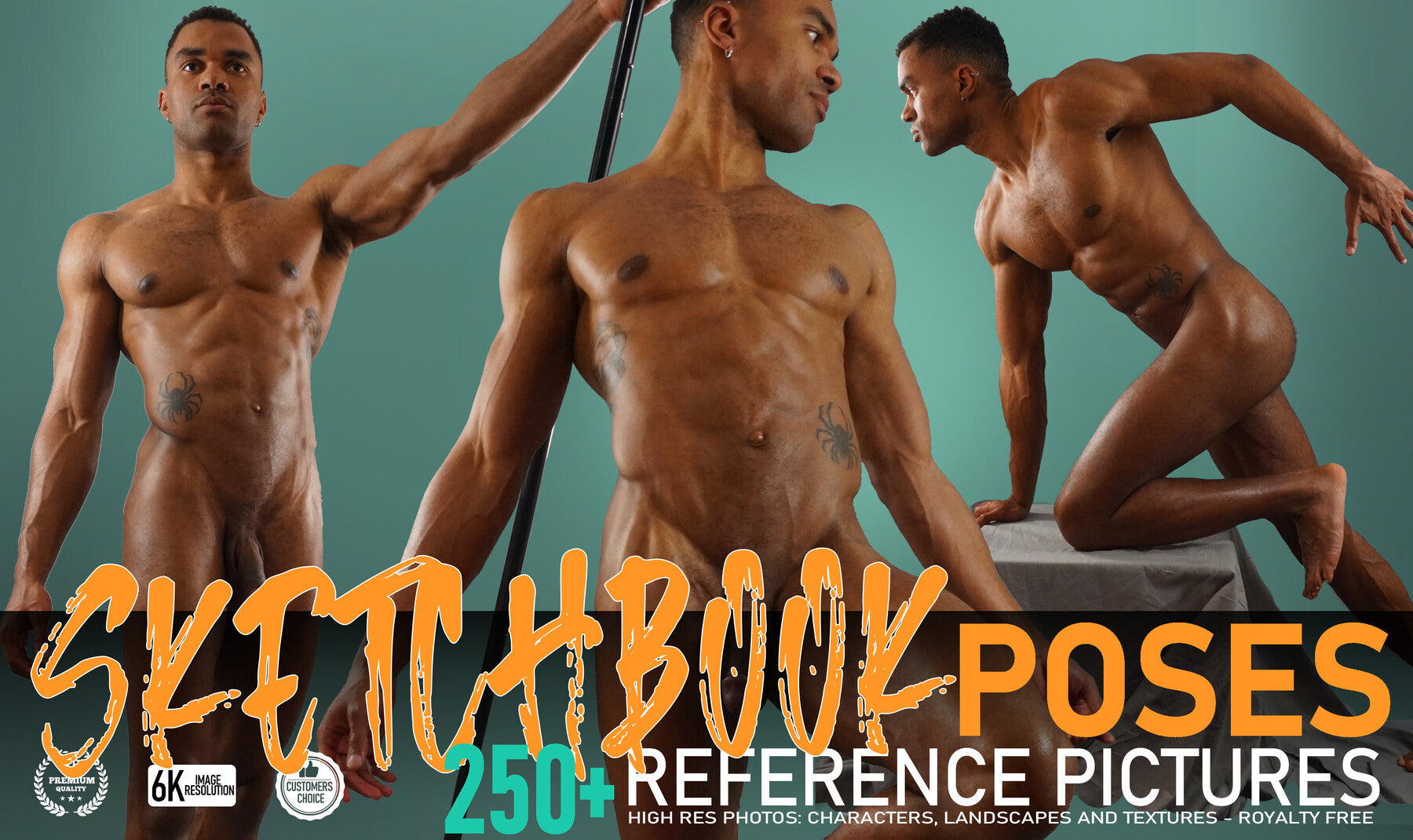 Sketchbook Poses 250+ Reference Pictures