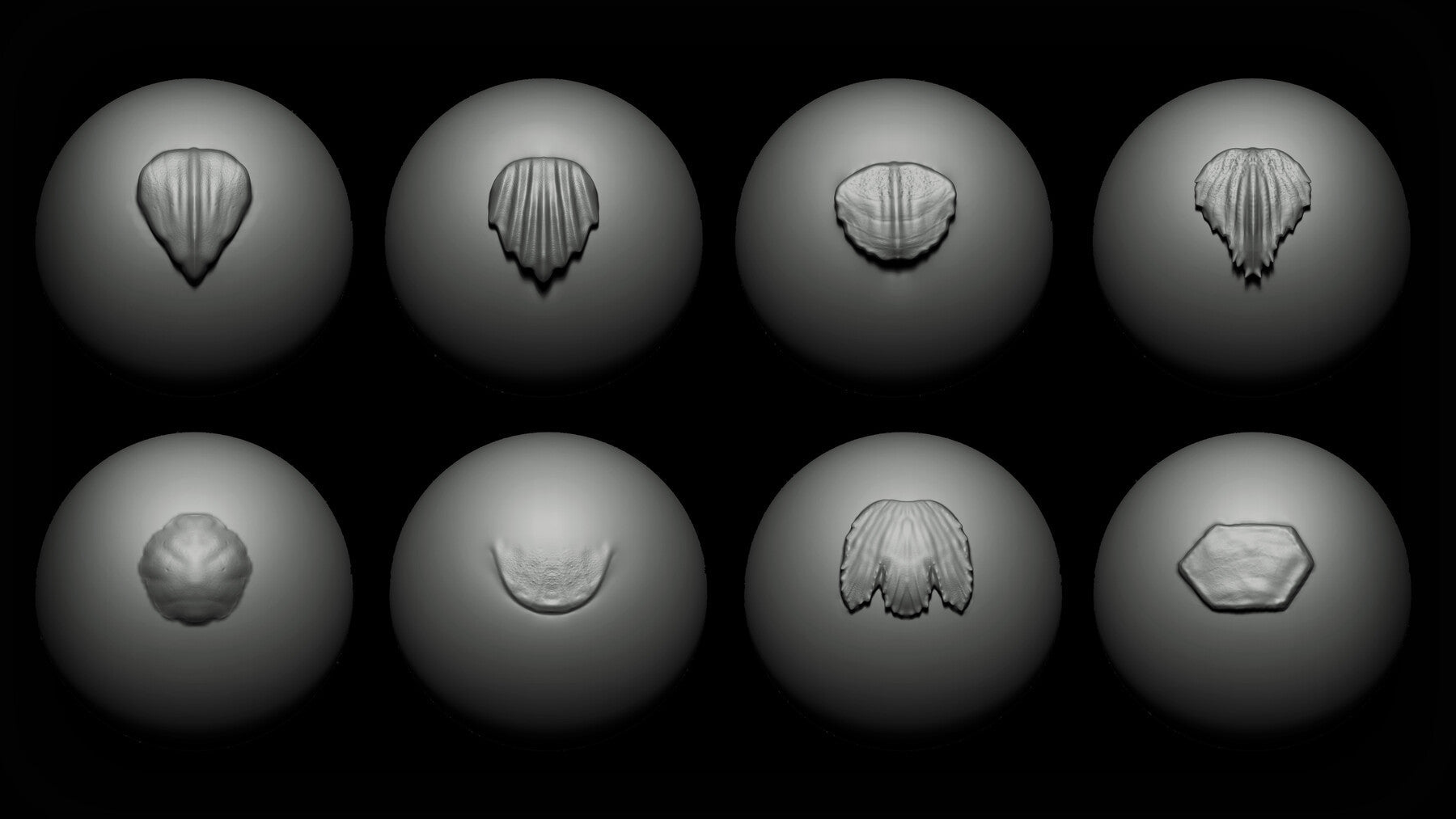 Zbrush + Blender - 40 Sea Creatures VDM Brush