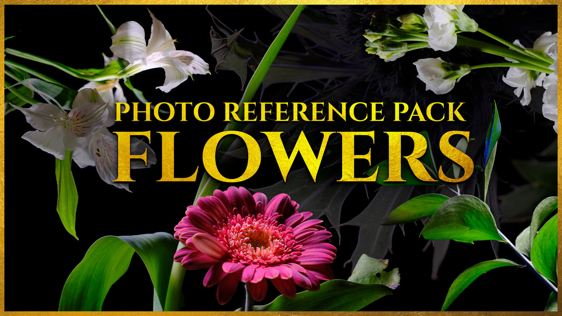 (A) Flowers vol.2 - Reference Photo Pack For Artists 1035 JPEGs