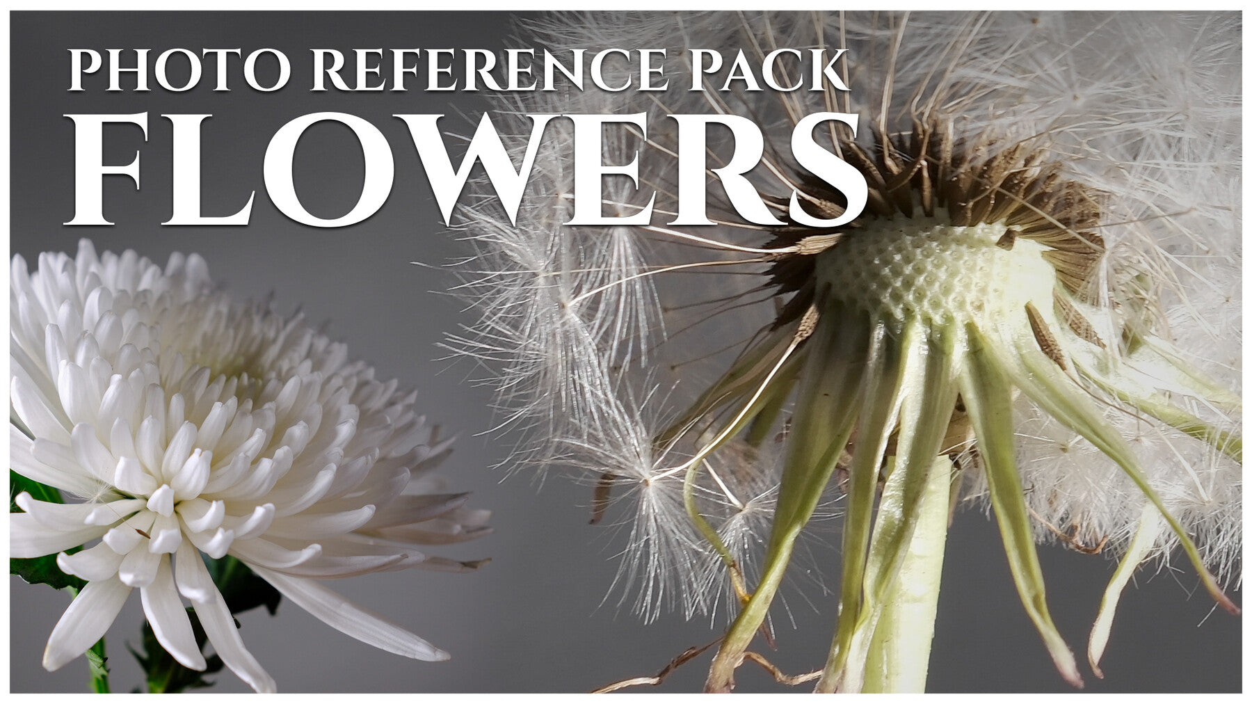 (A) Flowers vol.2 - Reference Photo Pack For Artists 1035 JPEGs