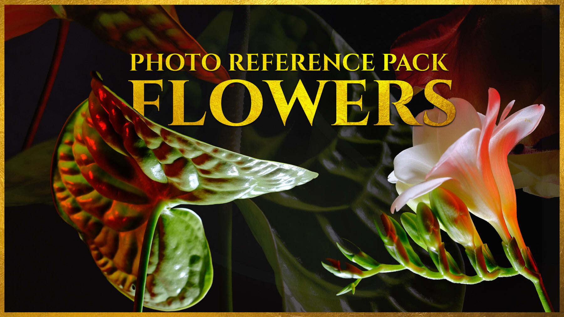 (A) Flowers vol.2 - Reference Photo Pack For Artists 1035 JPEGs