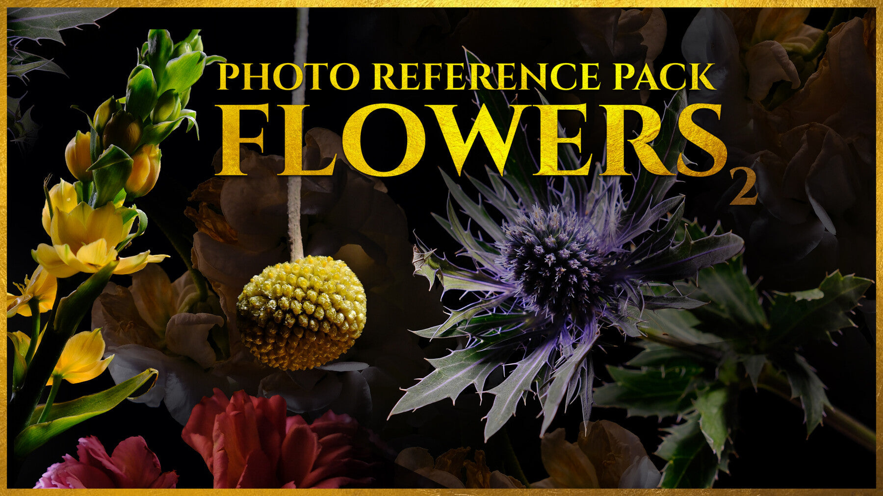 (A) Flowers vol.2 - Reference Photo Pack For Artists 1035 JPEGs