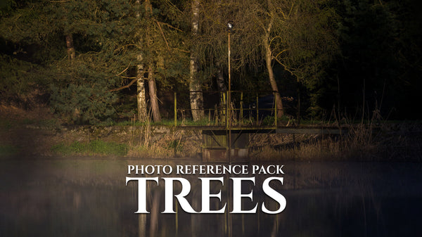 Trees Vol.2 Photo Reference Pack For Artists 396 JPEGs