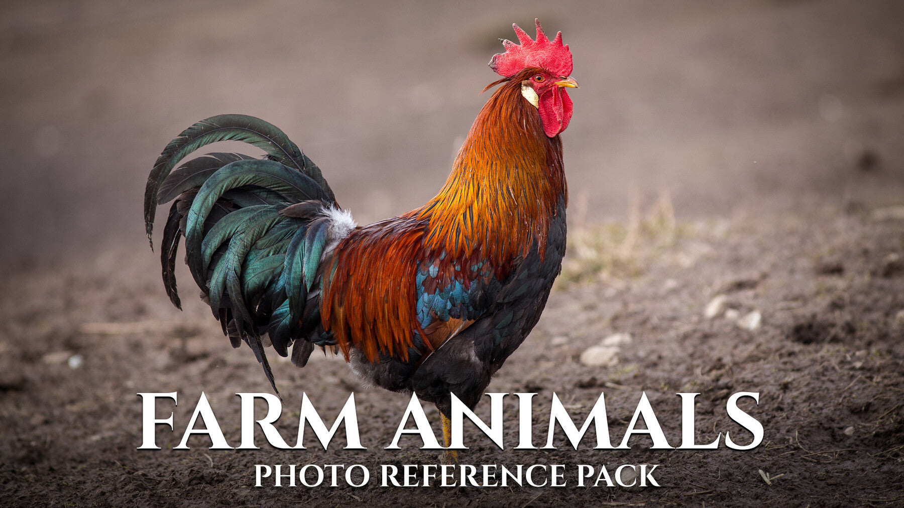 Farm Animals- Photo Reference Pack For Artists 522 JPEGs