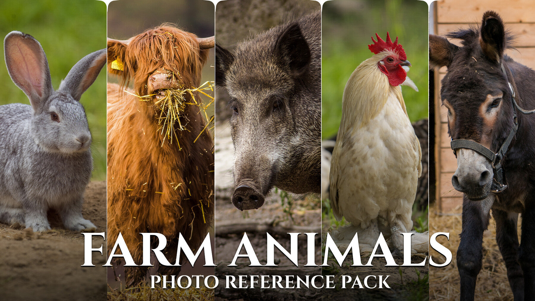 Farm Animals- Photo Reference Pack For Artists 522 JPEGs