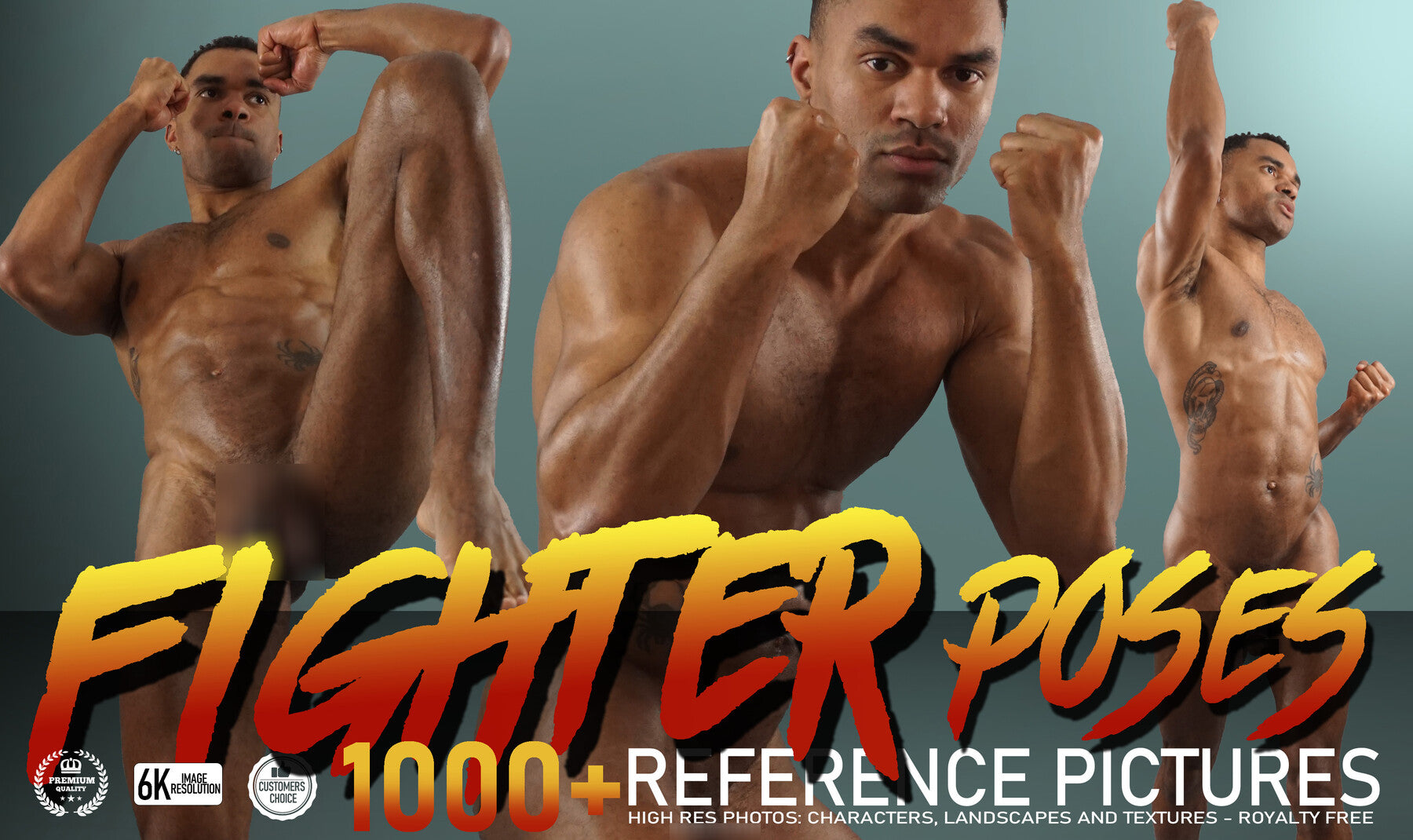 Fighter Poses 1000+ Reference Pictures