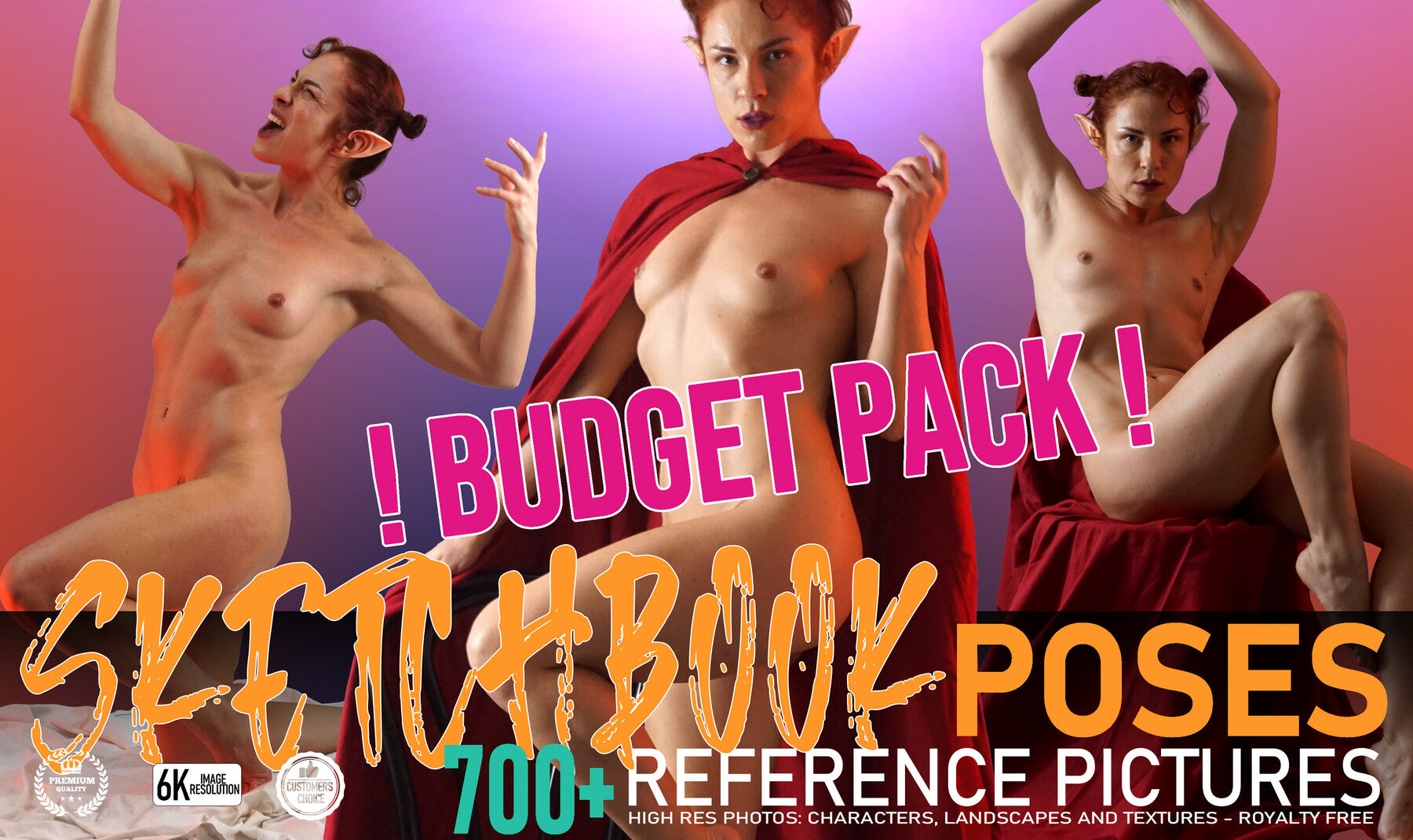 Sketchbook Poses !BUDGET PACK! 700+ reference pictures