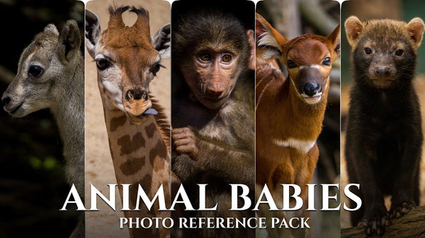 Animal Babies - Reference Photo Pack For Artists 422 JPEGs