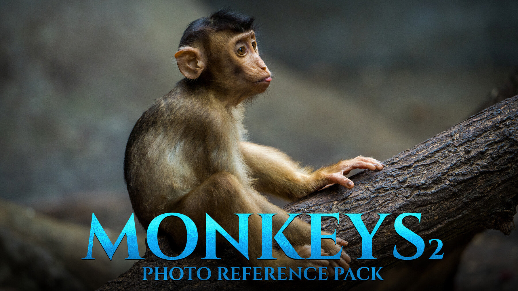 Monkeys Vol.2 -Photo Reference Pack For Artists 446 JPEGs