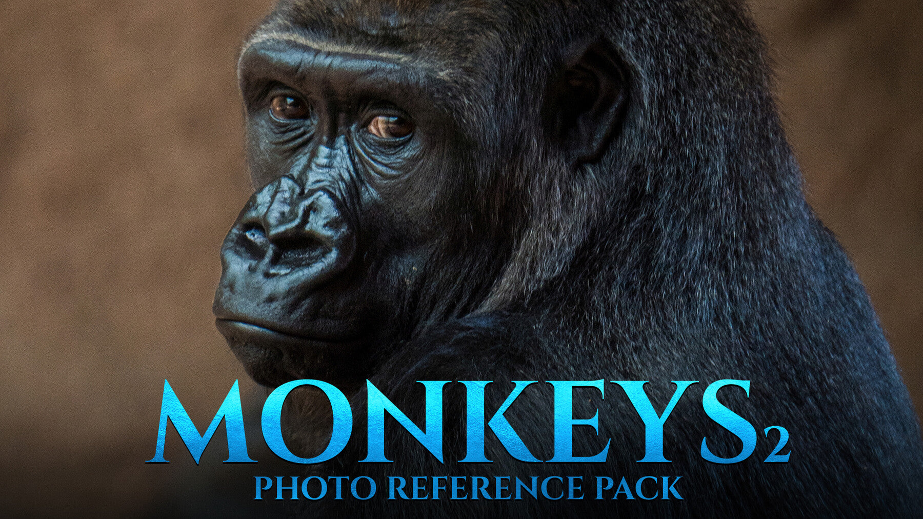 Monkeys Vol.2 -Photo Reference Pack For Artists 446 JPEGs