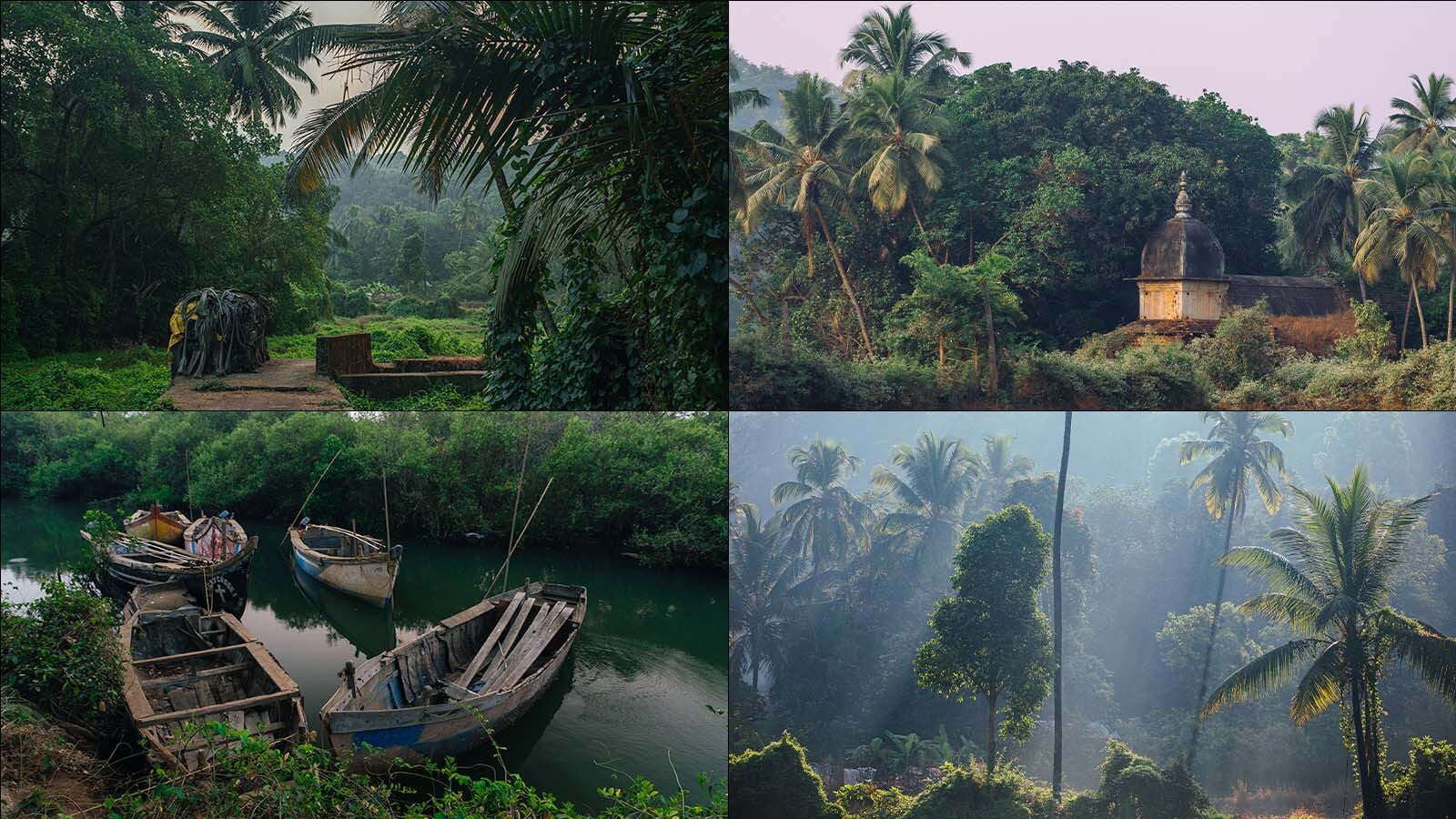 Tropical Valley Reference Pictures