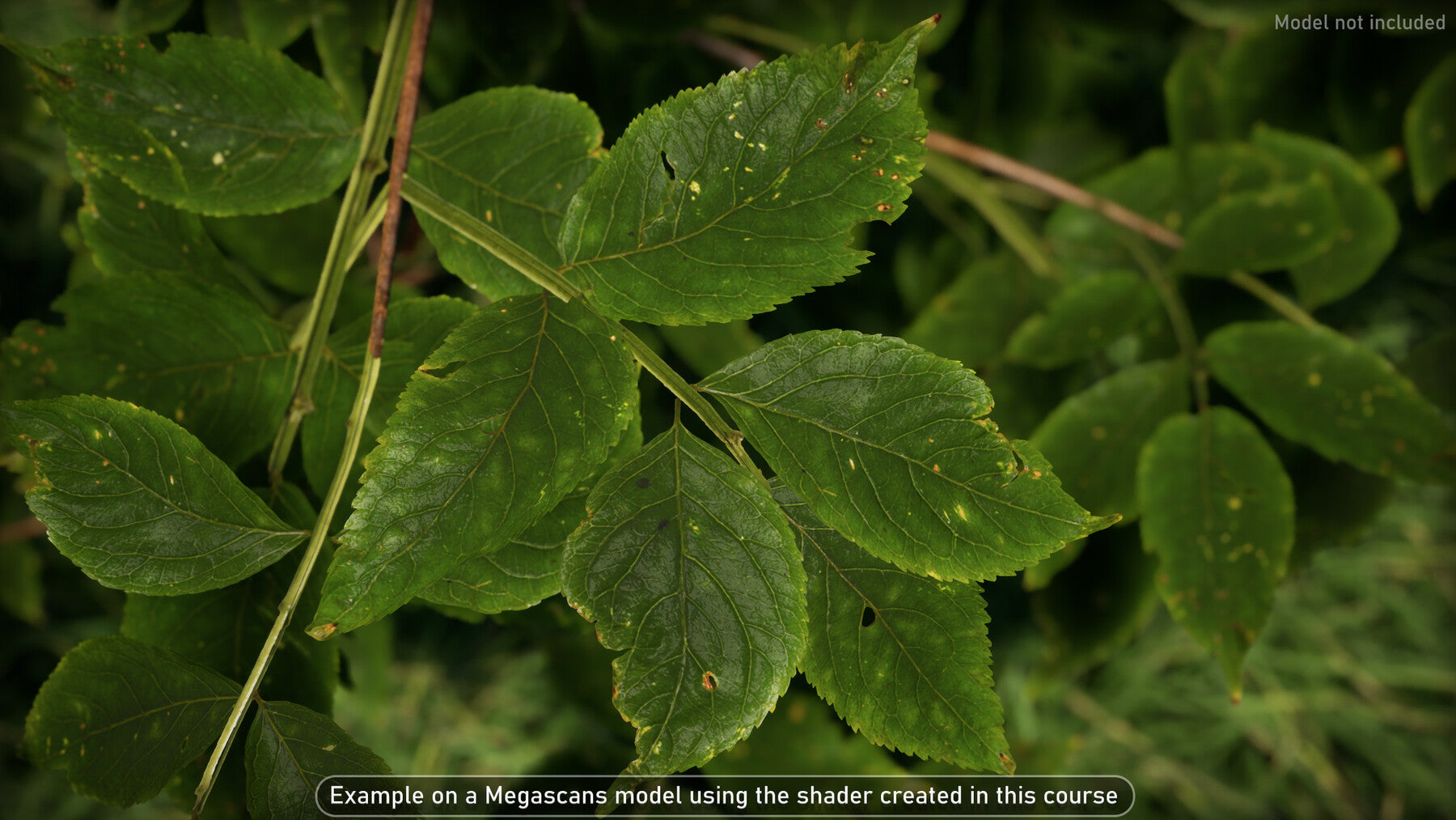 Unreal Shader - Trunk & Foliage