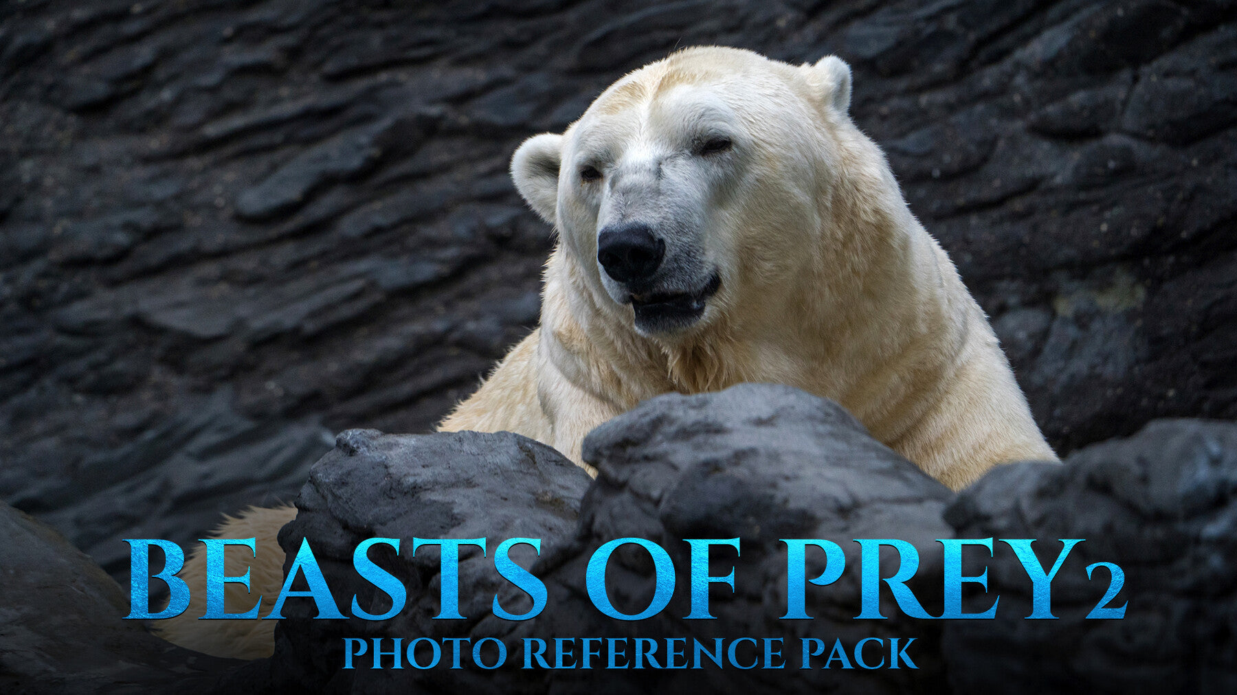 Beasts of Prey vol.2 -Photo Reference Pack For Artists 388 JPEGs