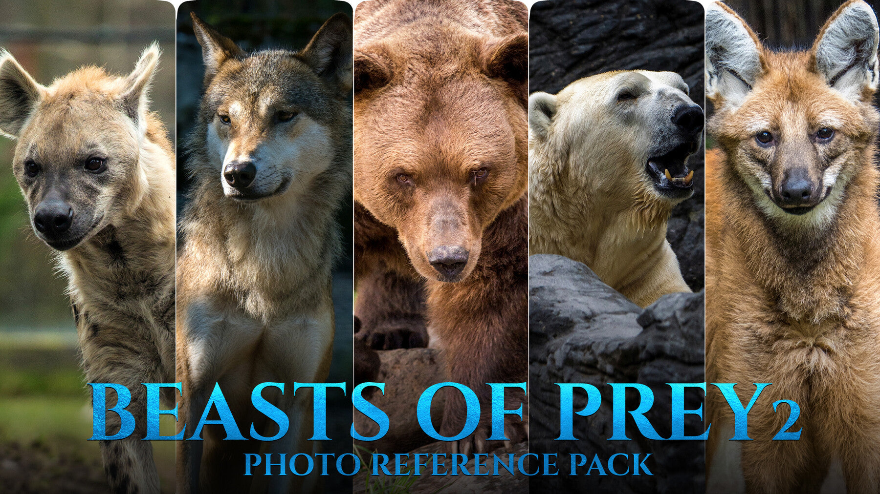 Beasts of Prey vol.2 -Photo Reference Pack For Artists 388 JPEGs