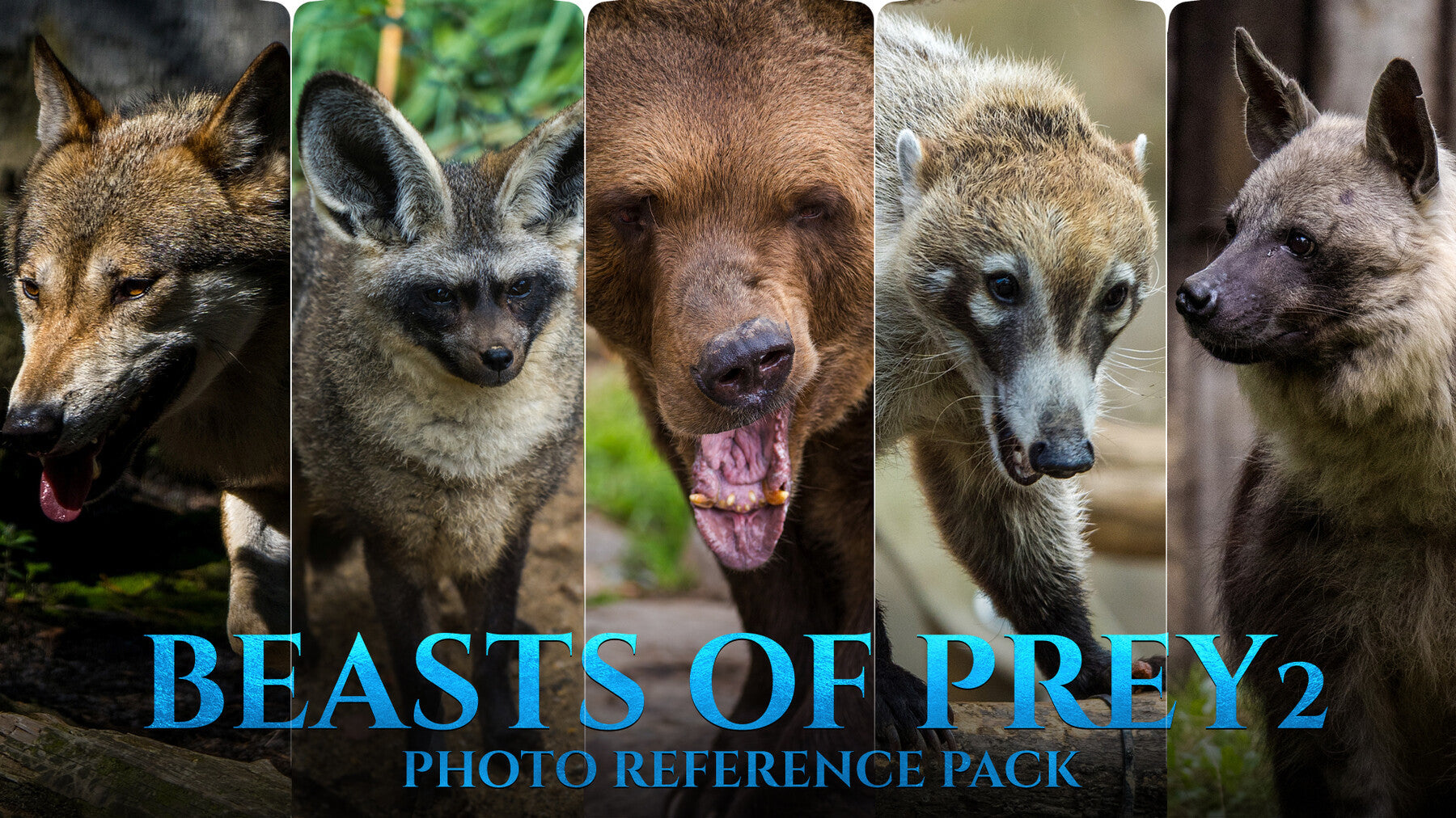 Beasts of Prey vol.2 -Photo Reference Pack For Artists 388 JPEGs