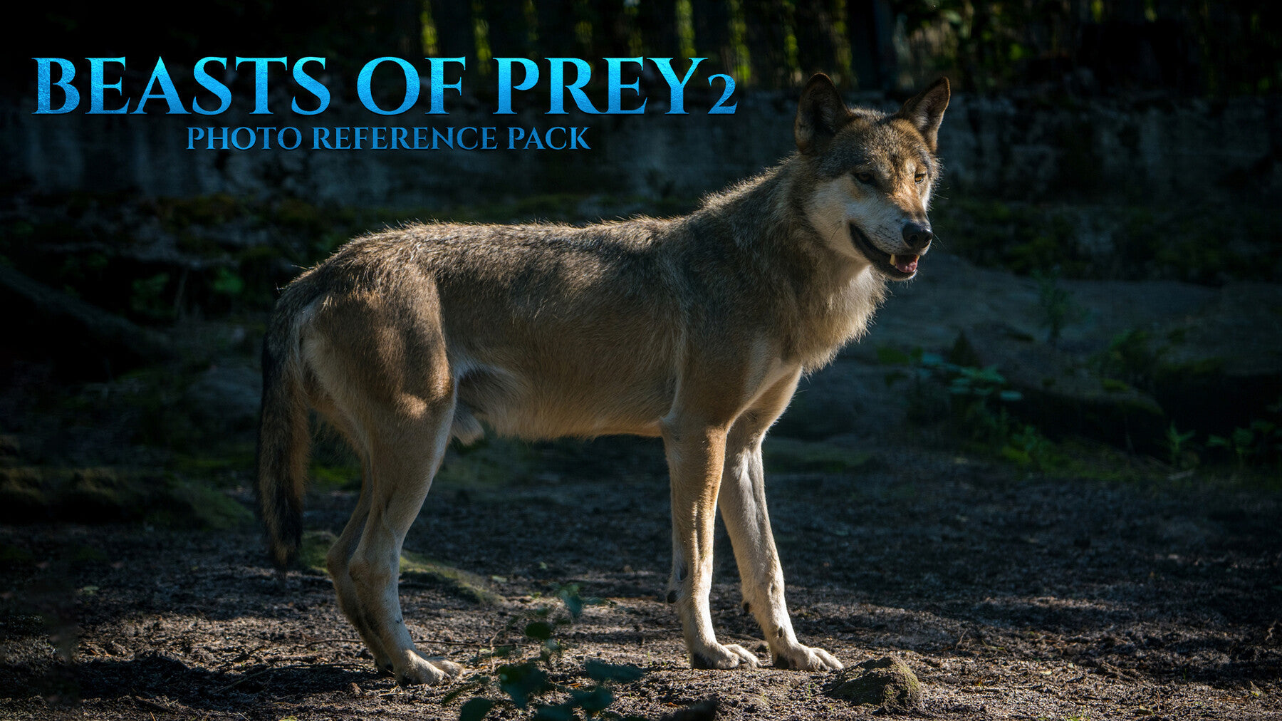 Beasts of Prey vol.2 -Photo Reference Pack For Artists 388 JPEGs