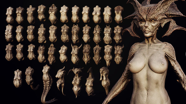 DEMONESS part 2 : 40 Torsos