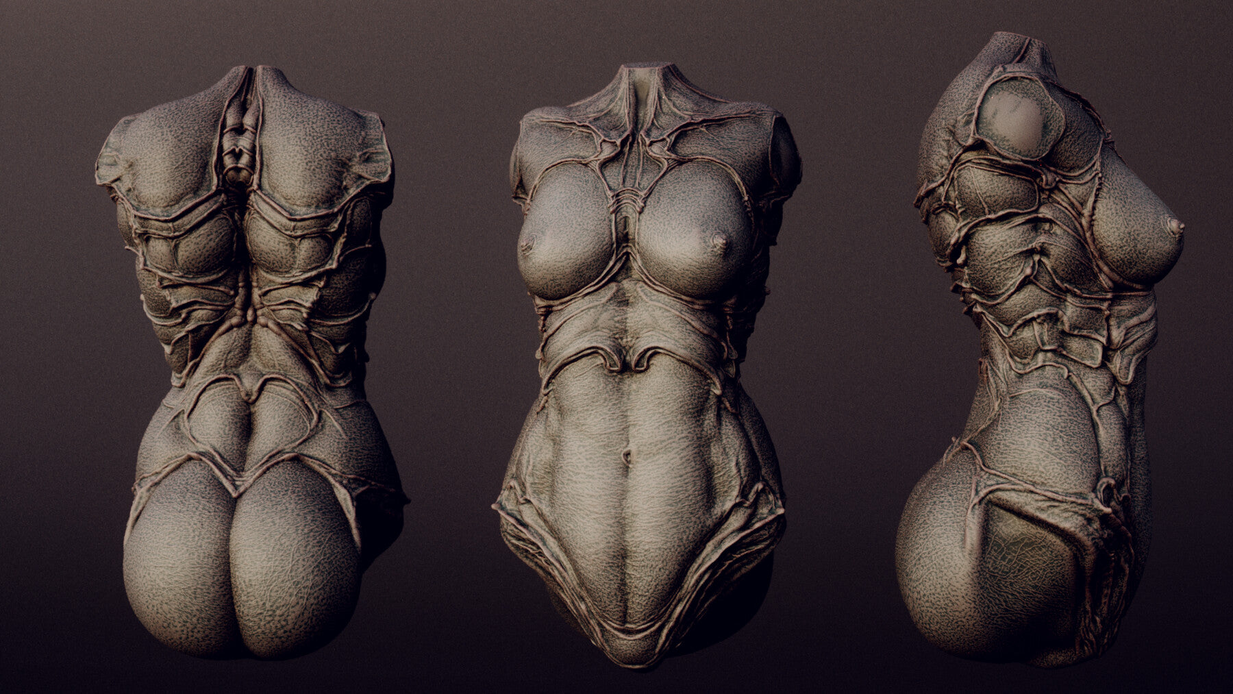 DEMONESS part 2 : 40 Torsos