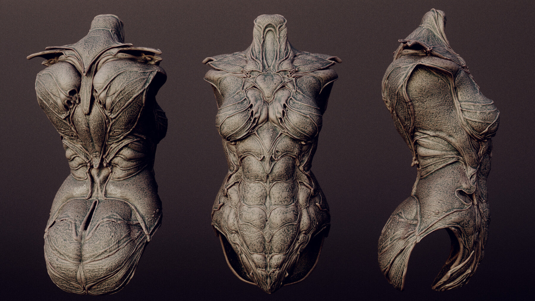 DEMONESS part 2 : 40 Torsos