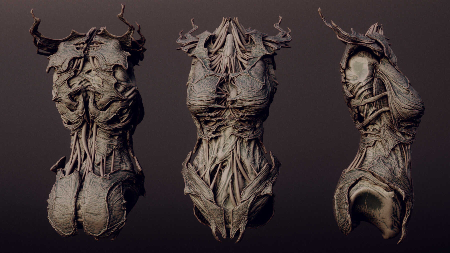 DEMONESS part 2 : 40 Torsos