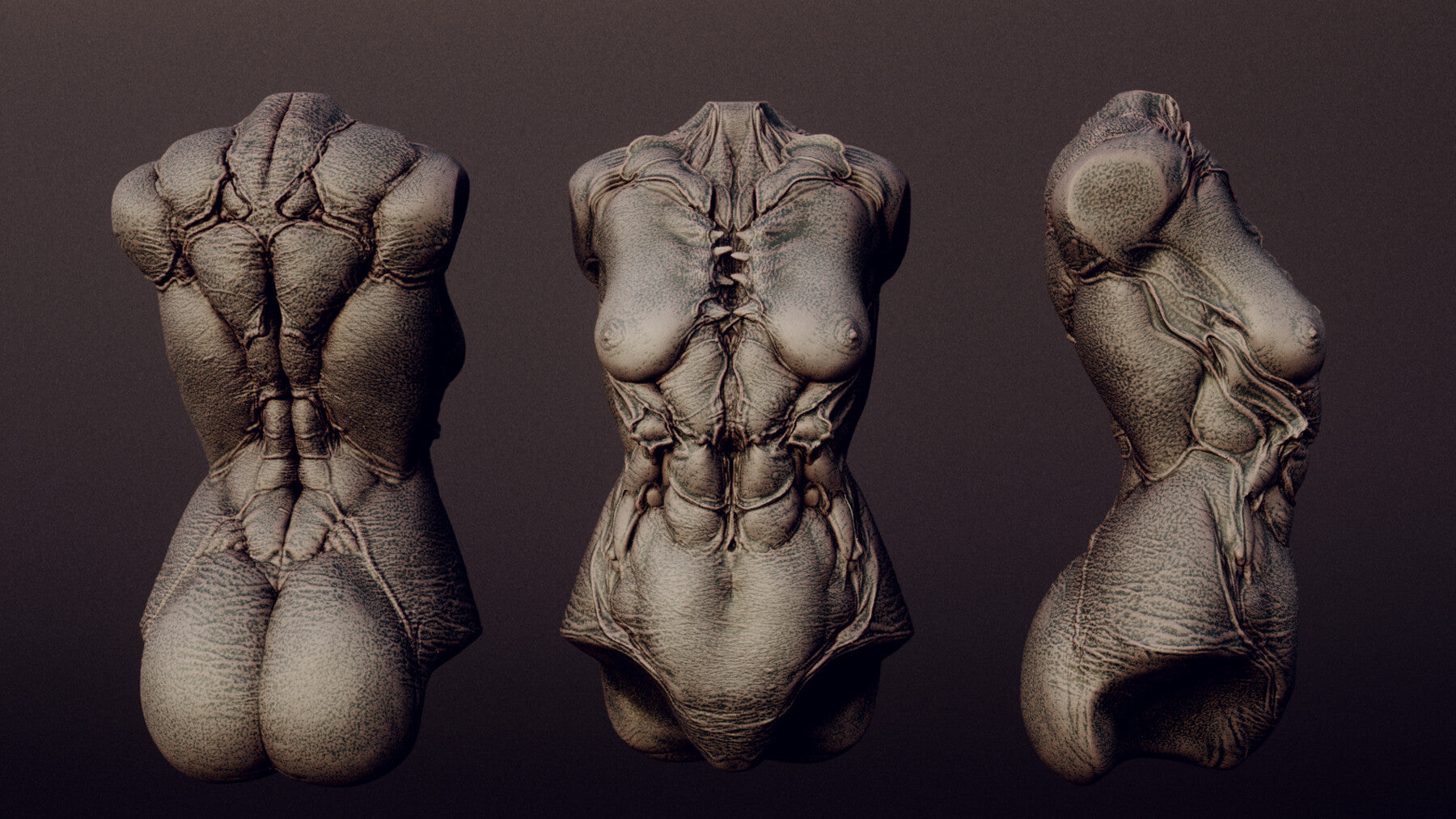 DEMONESS part 2 : 40 Torsos