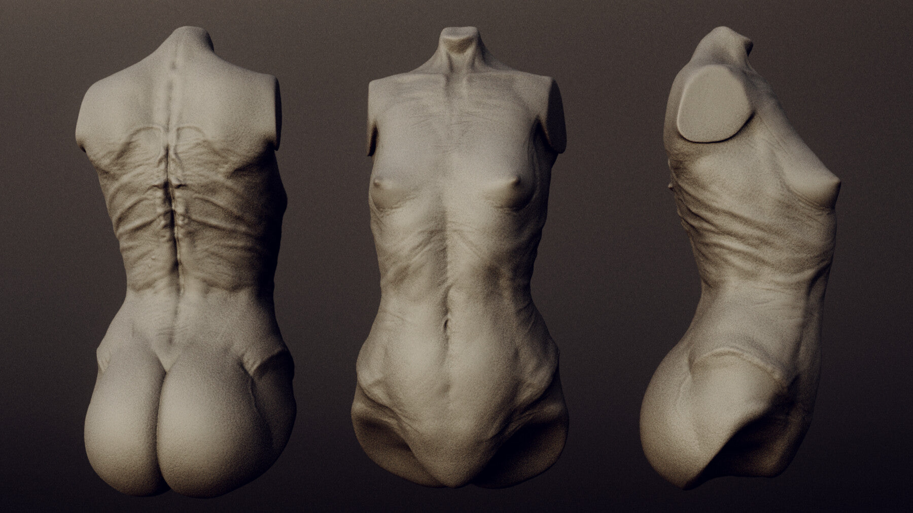 DEMONESS part 2 : 40 Torsos