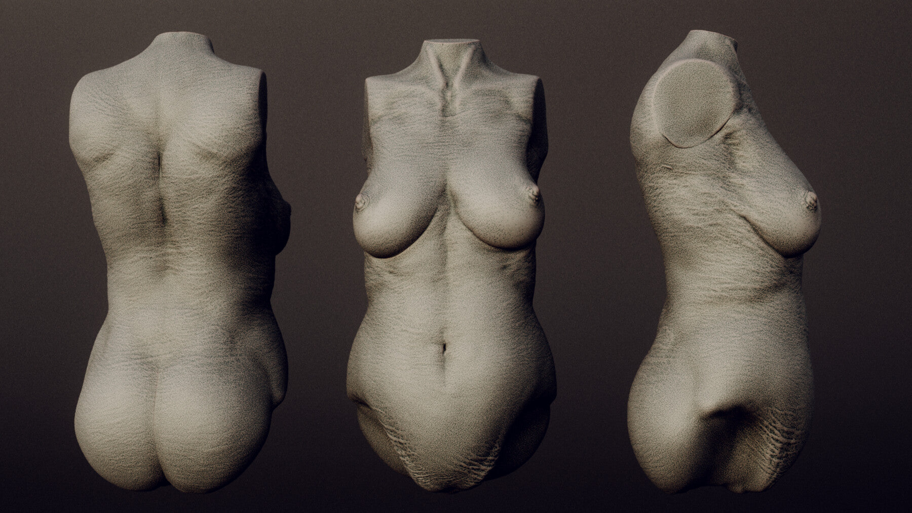 DEMONESS part 2 : 40 Torsos