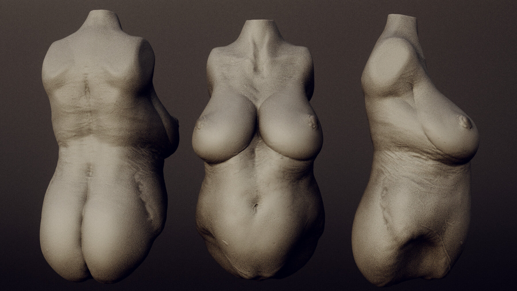 DEMONESS part 2 : 40 Torsos