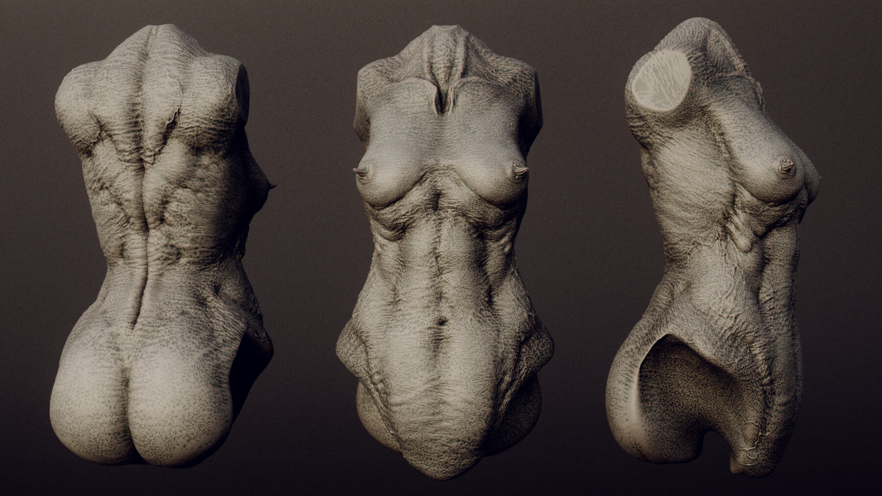 DEMONESS part 2 : 40 Torsos