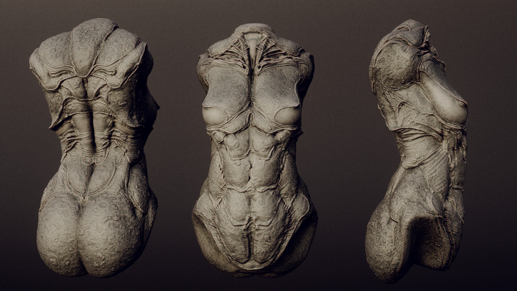 DEMONESS part 2 : 40 Torsos