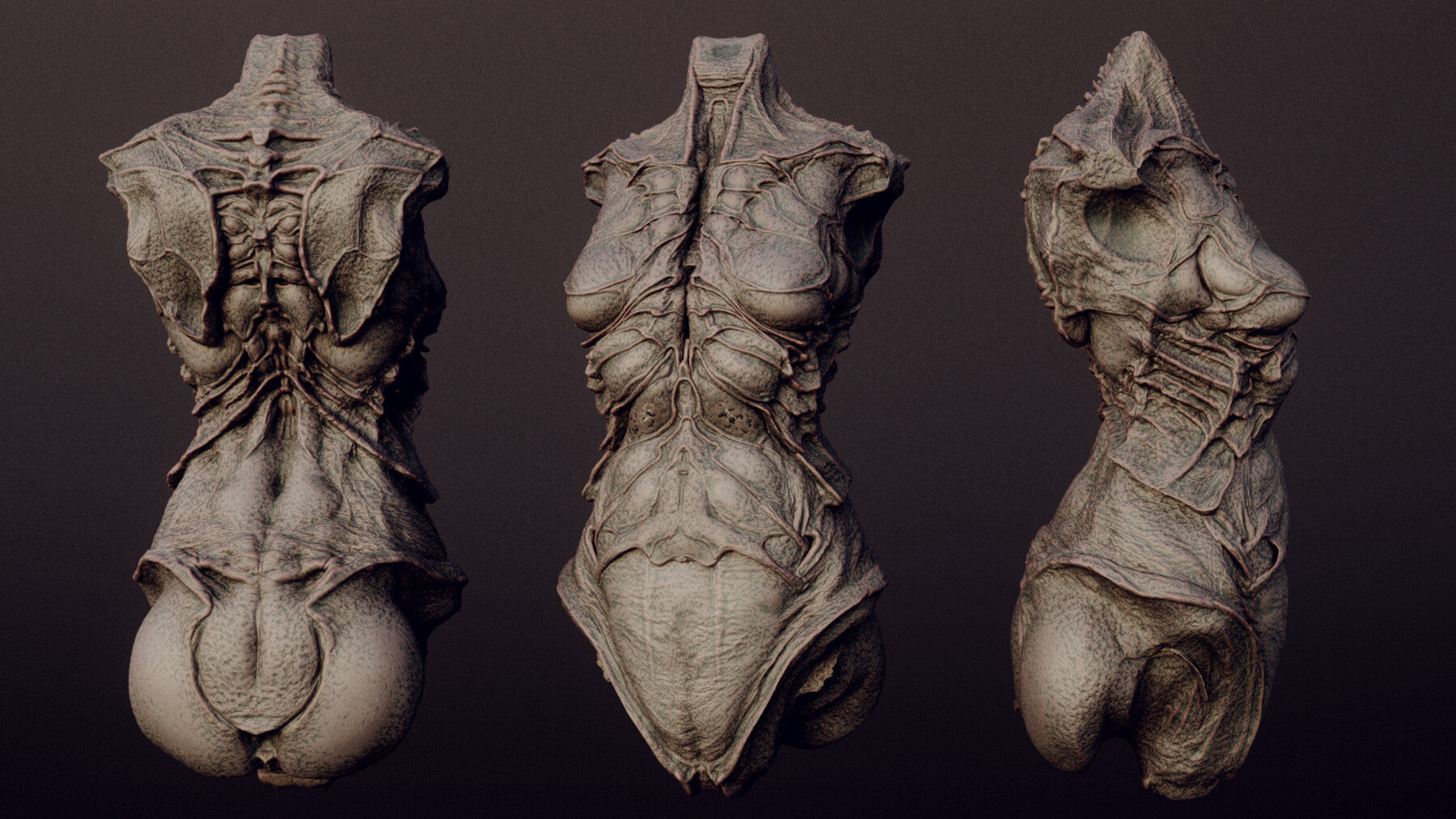 DEMONESS part 2 : 40 Torsos