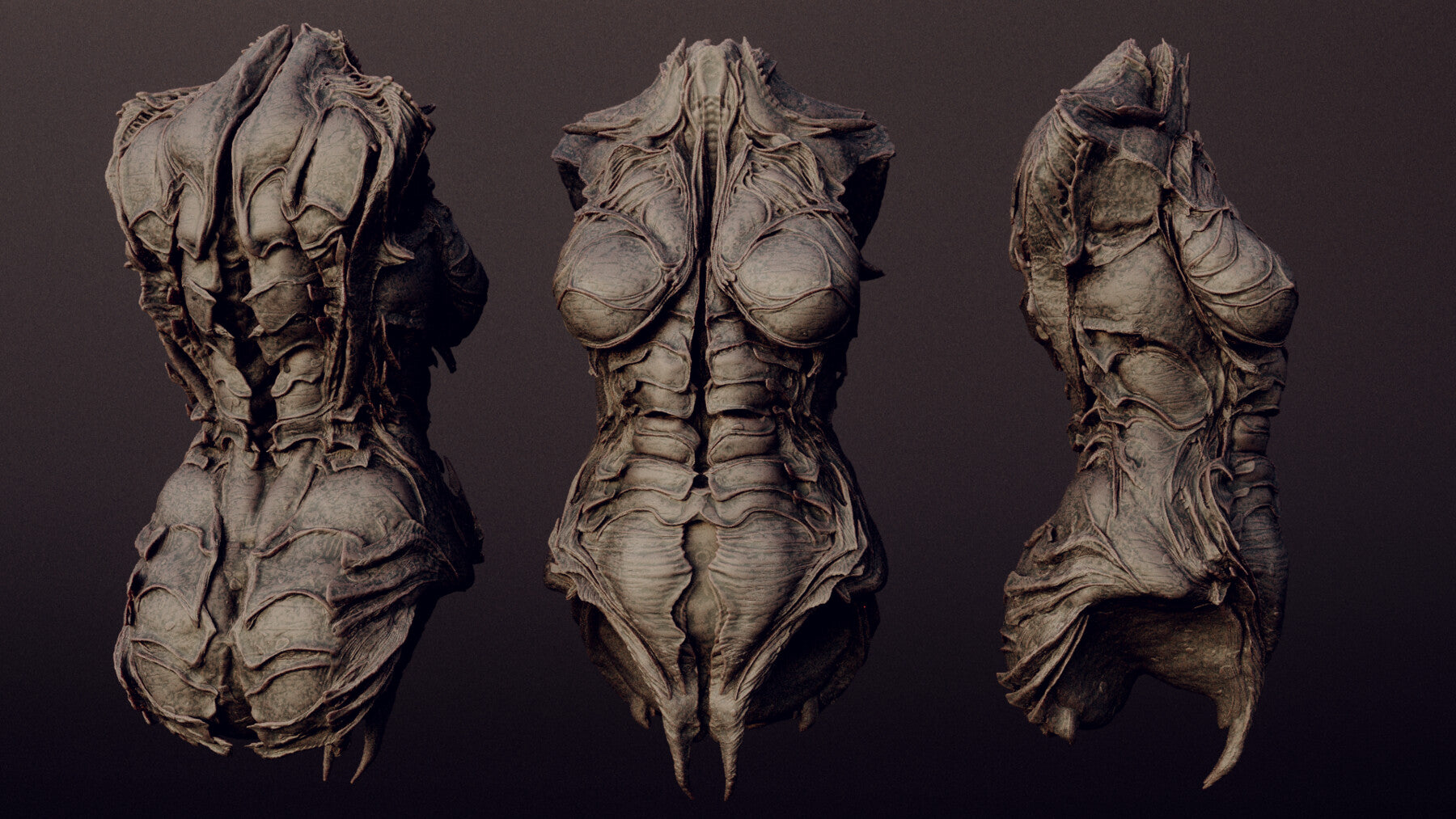 DEMONESS part 2 : 40 Torsos