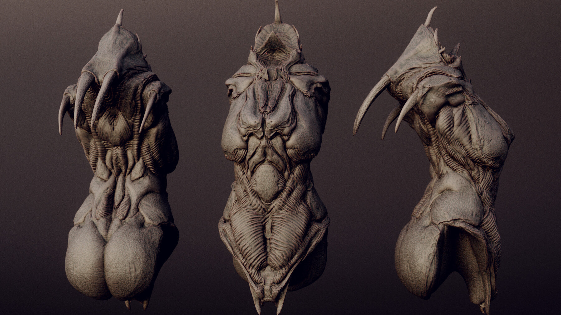 DEMONESS part 2 : 40 Torsos