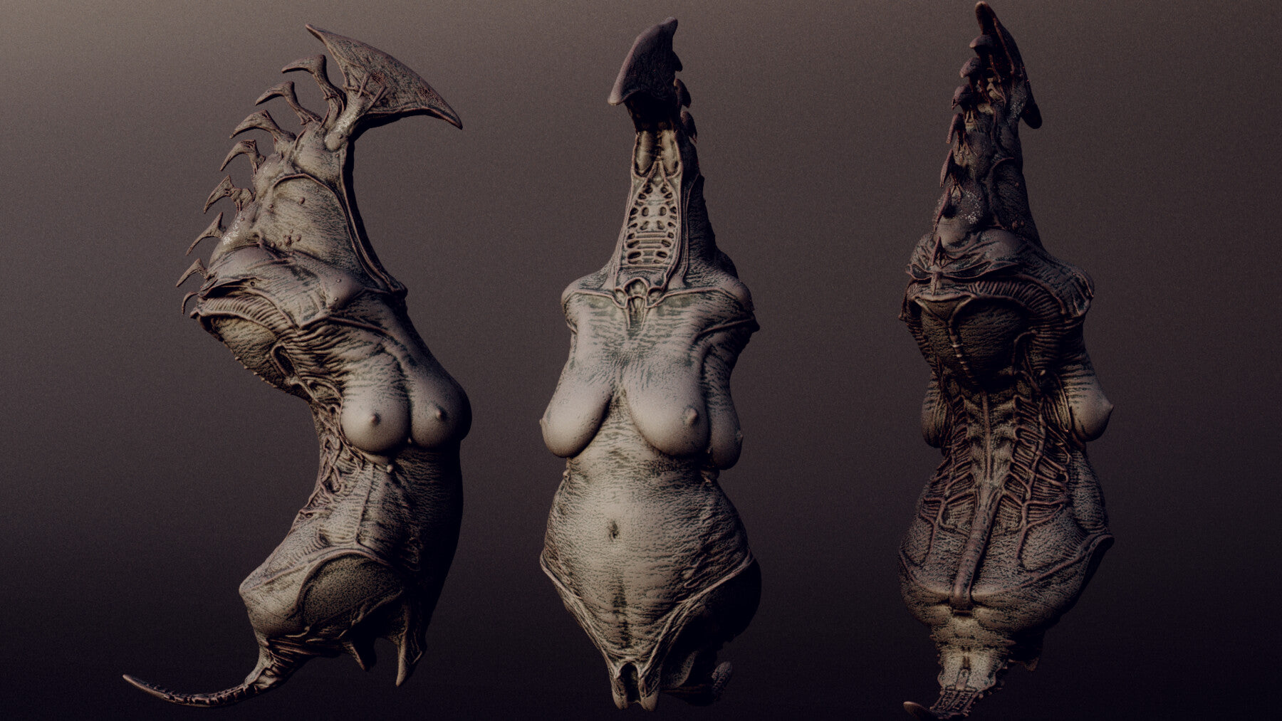 DEMONESS part 2 : 40 Torsos