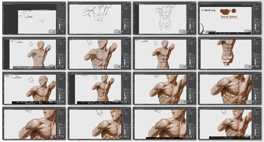 Drawing and Painting human body: Torso