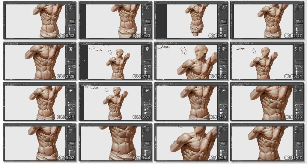 Drawing and Painting human body: Torso