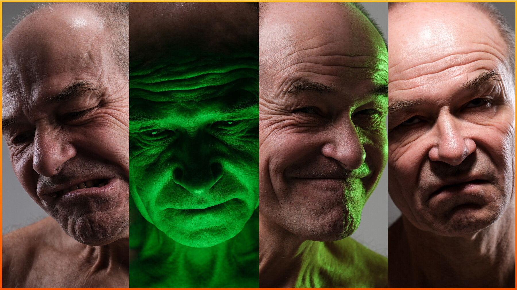 An Old Man Portraits - Photo Reference Pack For Artists 702 JPEGs