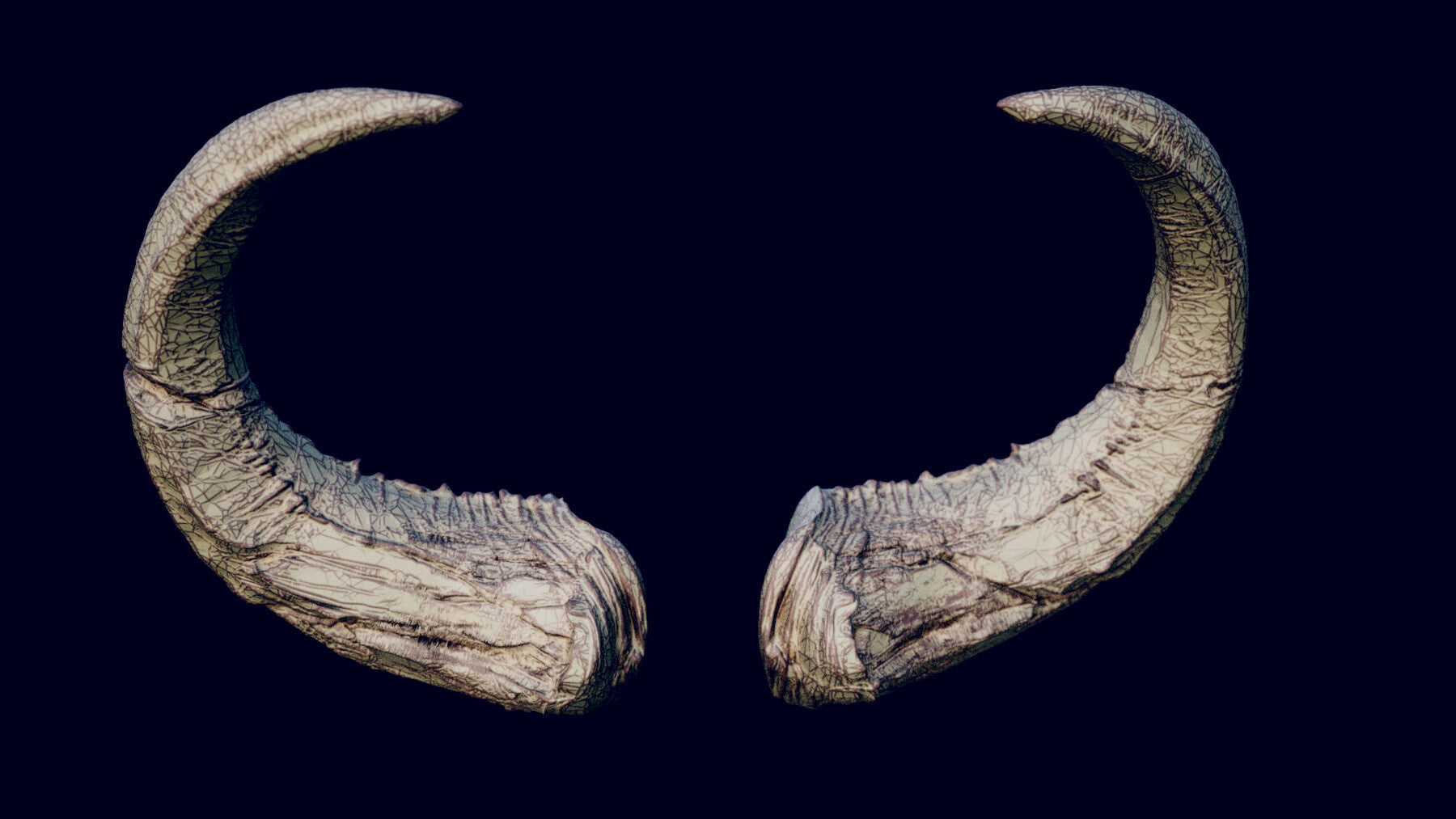 Horns Volume 2 : 65 Horns for quick design and kitbashing