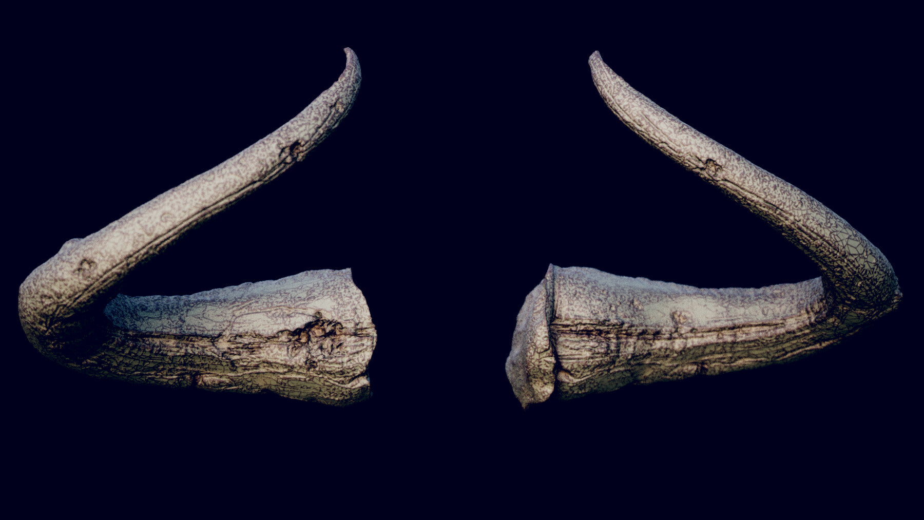 Horns Volume 2 : 65 Horns for quick design and kitbashing