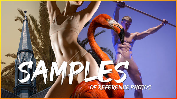 SAMPLES- MEGA REFERENCE PHOTO PACK- 1064 JPEGs