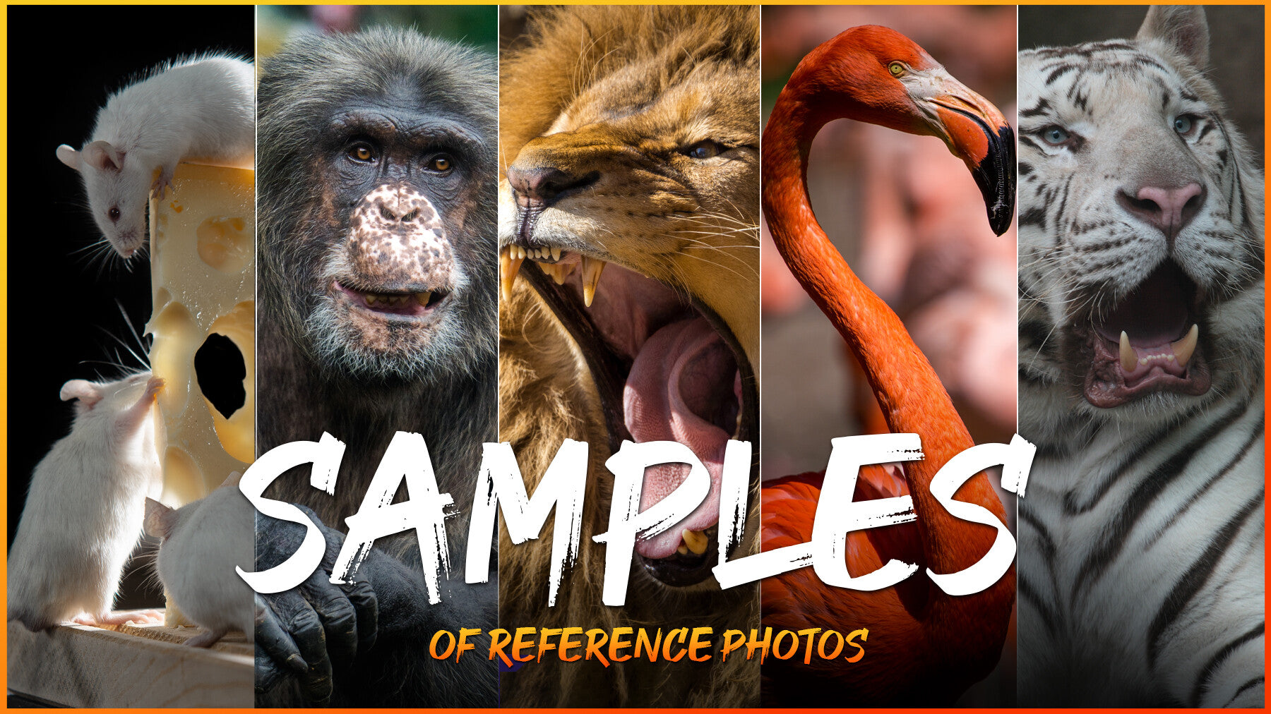 SAMPLES- MEGA REFERENCE PHOTO PACK- 1064 JPEGs