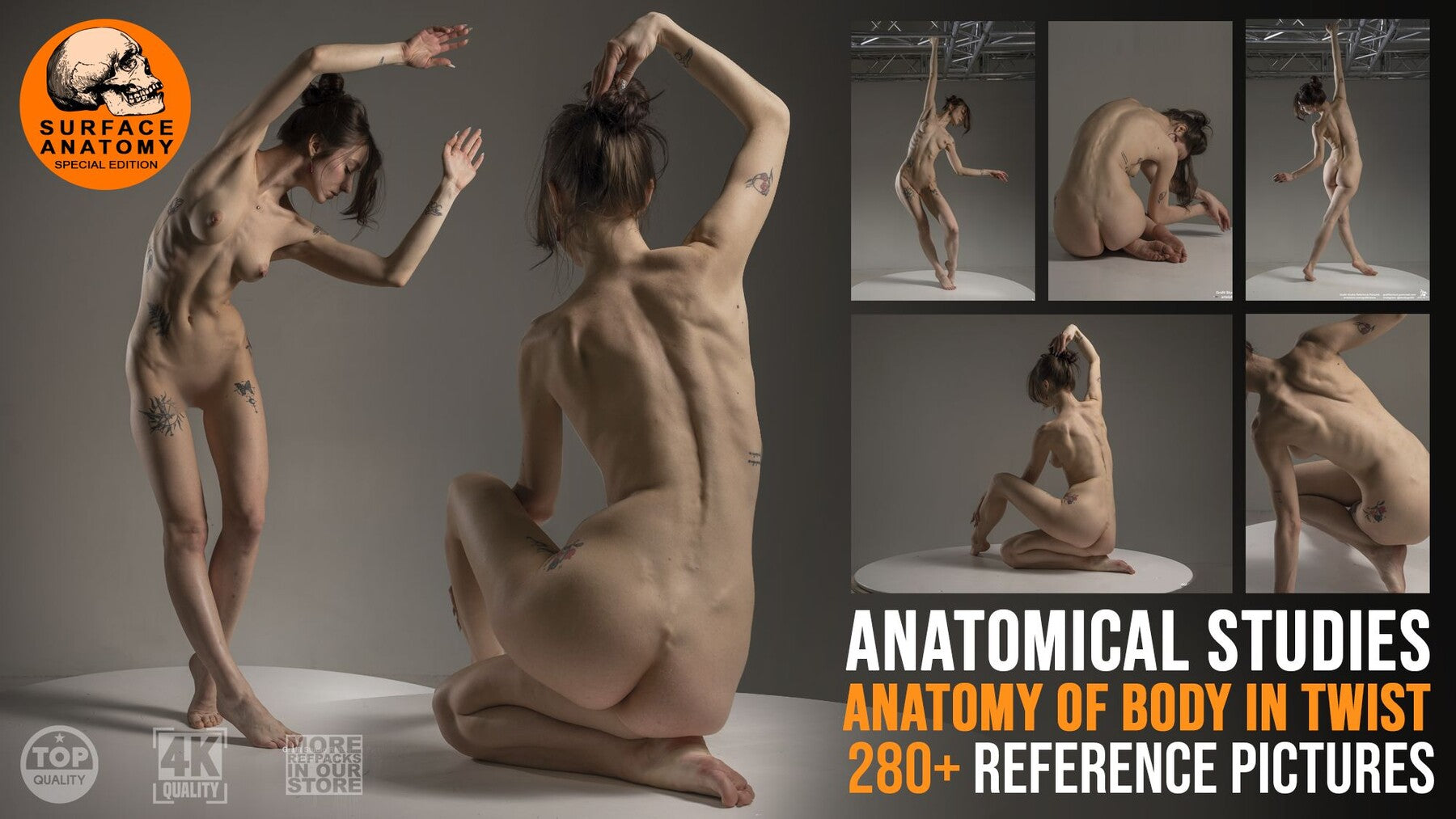 280+ Anatomy of Body in Twist