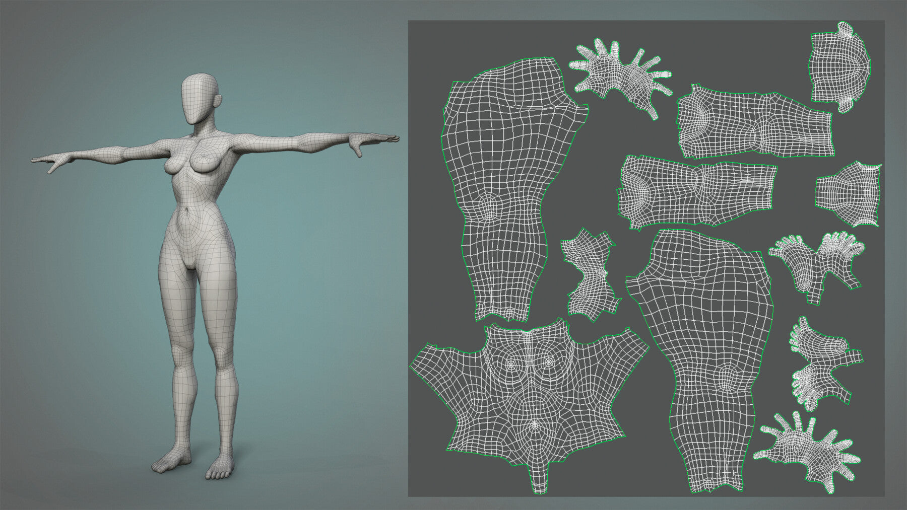 Male and female stylized basemesh