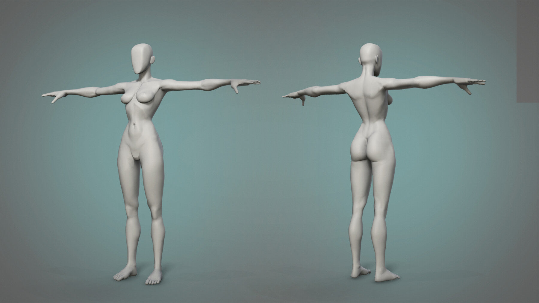 Male and female stylized basemesh