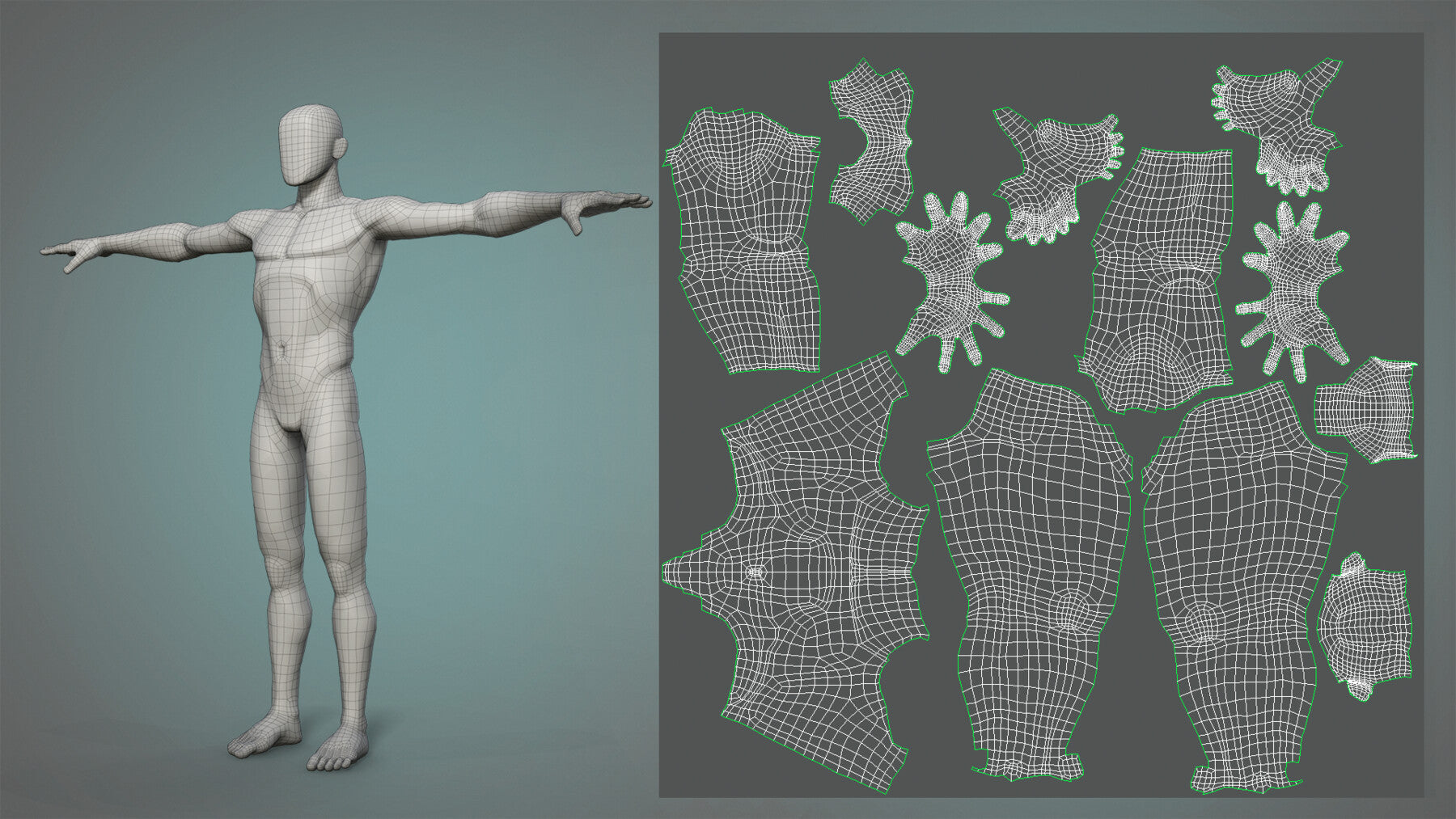 Male and female stylized basemesh