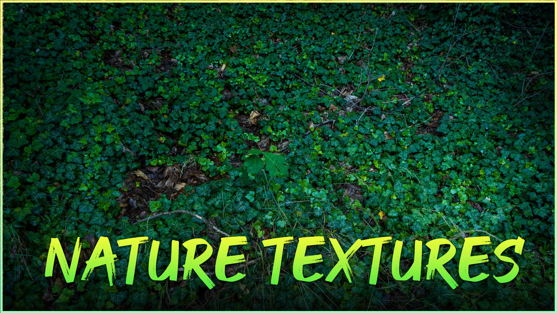 Nature Textures- Photo Reference Pack For Artists 695 JPEGs