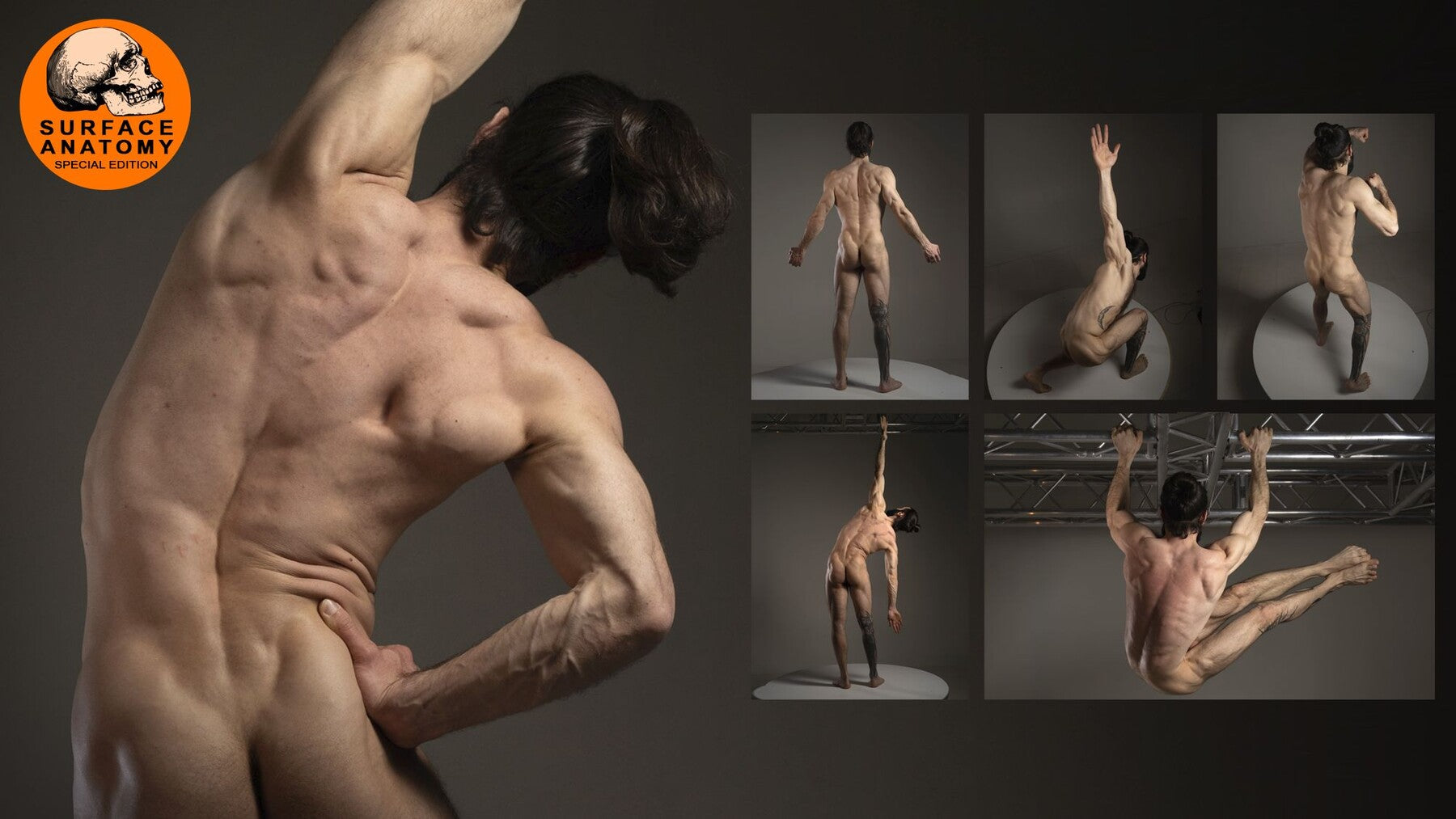 360+ Athletic Male Anatomy: Back, Shoulders and Arms in Motion