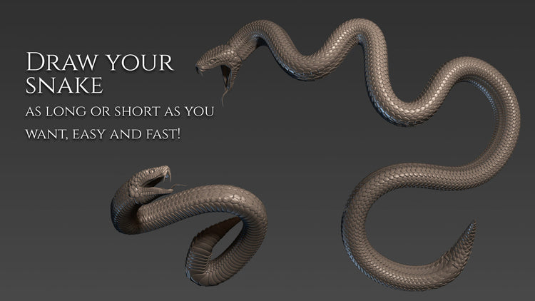 5 Snake curve brushes for Zbrush – S3ART Store